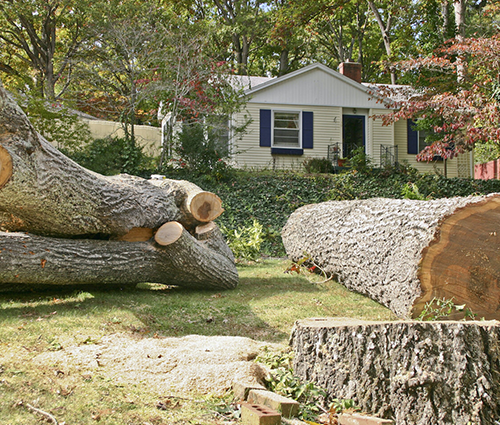 Welcome to Perfect Touch Landscape and Tree Service